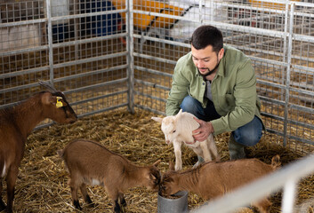 Positive young bearded farmer petting two cute baby goats in stall at livestock farm..