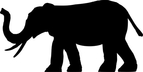 Obraz premium Silhouette: Afrikanischer Elefant von der Seite