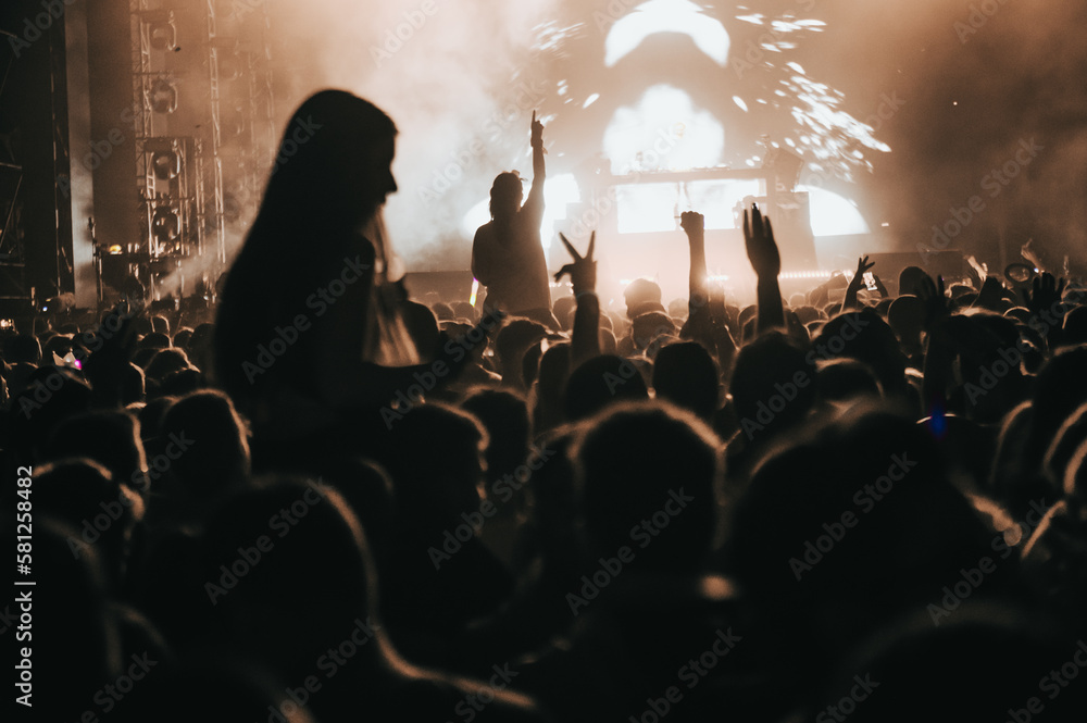 Canvas Prints Concert crowd on a music concert