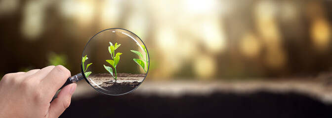 plants focused by a magnifying glass - concept of caring for the planet - obrazy, fototapety, plakaty