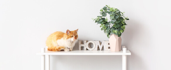 Cute funny cat with eucalyptus branches in vase on shelf near light wall