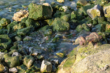 Water flowing from culvert on a riverbank