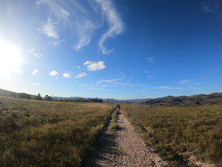 path trail sky forest biome nature