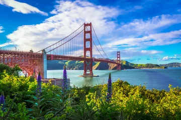 Gordijnen San Francisco California © Phil Fitzgerald