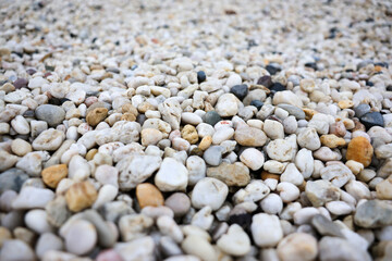 Trendy small sea stone pebble background. Softcolored abstract beach nature pattern