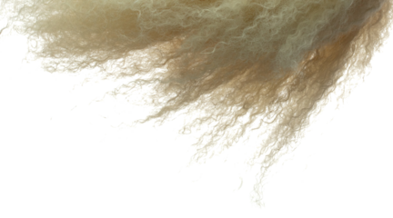 Afro Wig hair style fly fall explosion. Golden blond afro woman wig hair float in mid air. Afro wig hair extension wind blow cloud throw. White background isolated high speed freeze motion