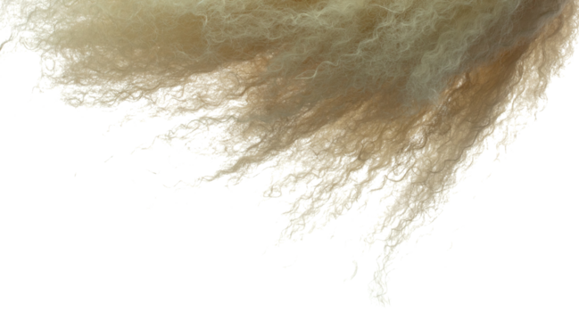 Afro Wig hair style fly fall explosion. Golden blond afro woman wig hair float in mid air. Afro wig hair extension wind blow cloud throw. White background isolated high speed freeze motion