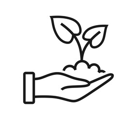 Hand holding plant with leaves.