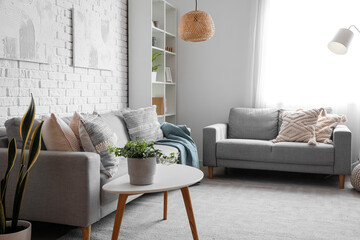 Grey sofas with cushions and houseplant on table in interior of living room