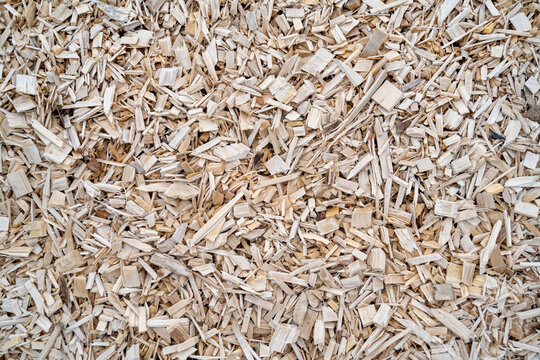 copeaux de bois en paillage