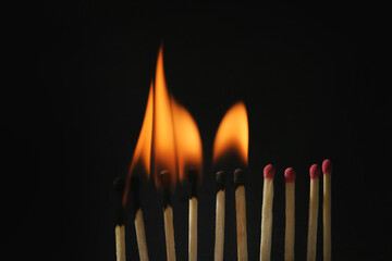 Burning and whole matches on black background, closeup. Stop destruction concept