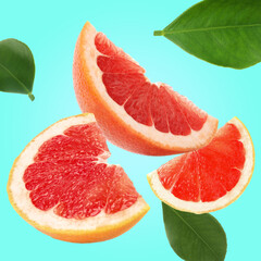 Cut fresh grapefruit and green leaves flying on cyan background