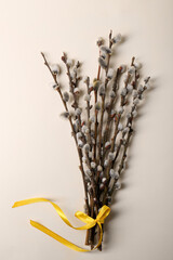 Beautiful blooming willow branches tied with yellow ribbon on beige background, top view