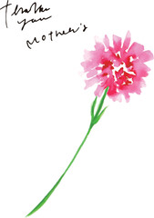 水彩画。水彩タッチのカーネーションベクターイラスト。母の日の花イラスト。Watercolor painting. Carnation vector illustration with watercolor touch. Mother's day flower illustration.