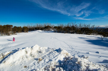 landscape with snow