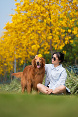 Golden Retriever dog sits with owner on grass in park