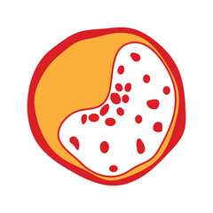 vector of cholesterol plaque