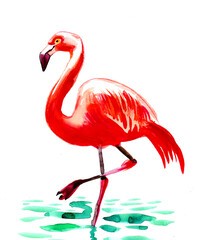 Pink flamingo bird. Ink and watercolor drawing