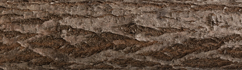 Enlarged and detailed horizontal texture photo background of reddish dark brown pine tree bark with splitted and cracked surface