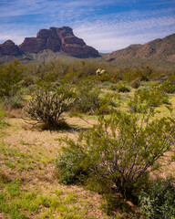 Arizona Red Mountain Landscapes, America, USA.