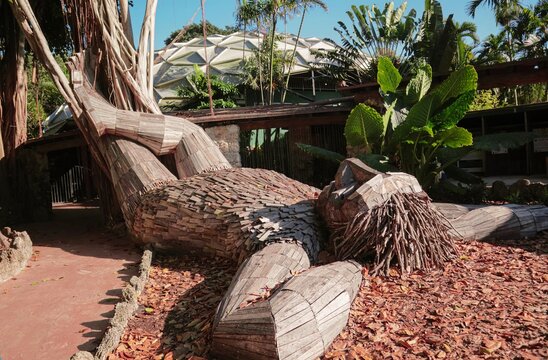 Big statue of trolls made out of wood in Pinecrest Gardens, Miami, Florida, United States of America by Alex Miranda.