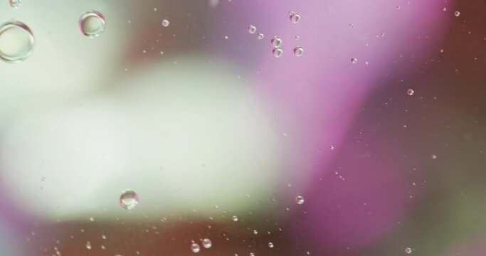 Animation of bubbles moving on white and pink background with copy space