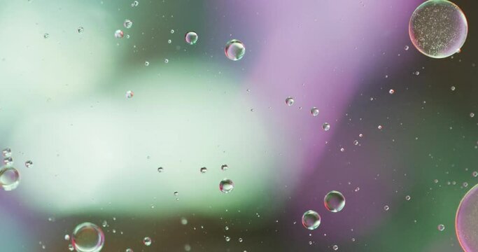 Animation of bubbles moving on green and purple background with copy space
