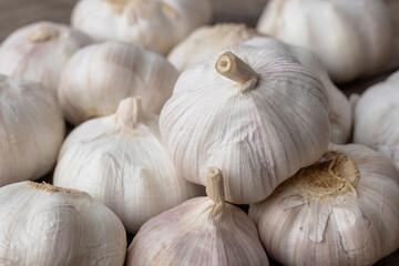 Closeup fresh garlic bulbs.