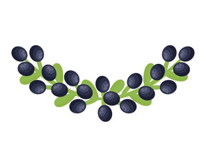 olive branch illustration