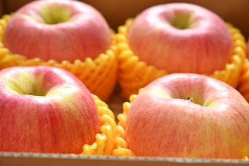beautiful pink apple in yellow wrap bubble, healthy fruit in the box