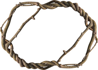 Twisted dried Liana jungle vine. © Ammak