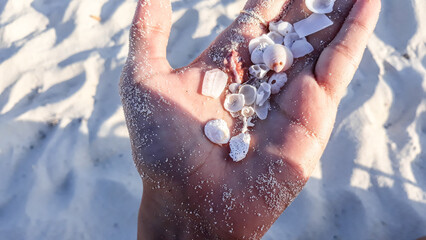 hand with seashell