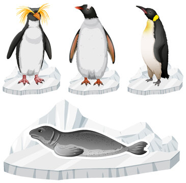 Cute Penguin Icons Set