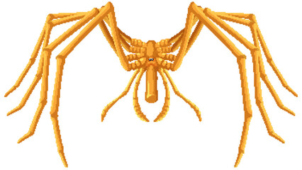 Giant sea spider cartoon isolated