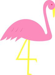 Flamingo summer illustration