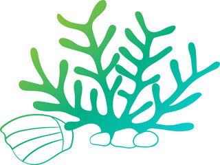 Coral illustration, icon, element for decoration.