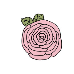 rose