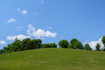 新緑の時期の青い空