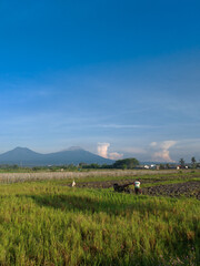 Farmers are plowing the fields using a plow machine with beautiful landscape as background.