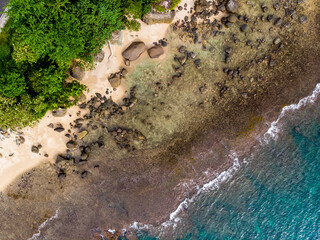 Aerial shot of beach with rocks and trees