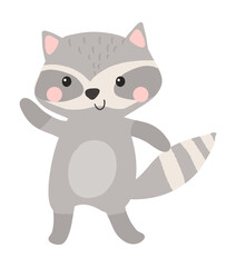 Cute raccoon vector