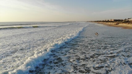 Empty sea coast with sandy beach, watching a California shore drone aerial