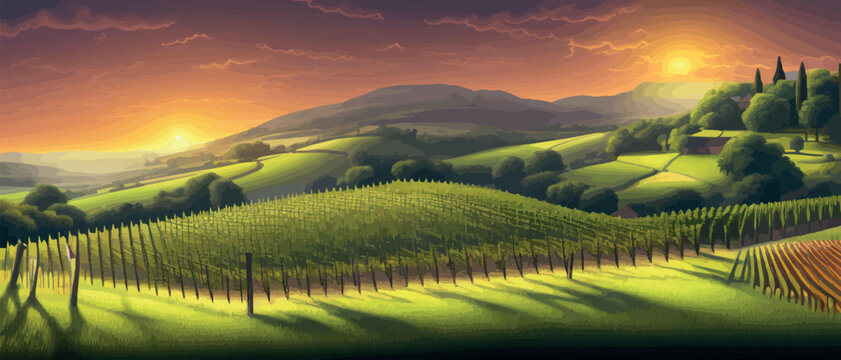 Vineyards with vines and hilly Tuscan landscapes near the winery , with the village in the background . Vector illustration banner. spring blank background