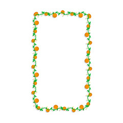 Rectangular frame with mandarin fruit and blossoming orange branches. Weave border isolated on white background. Vector decorative element