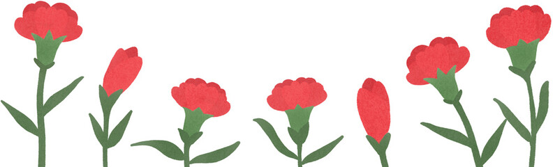 여러 개의 카네이션 꽃 장식 일러스트