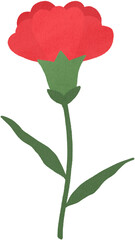 카네이션 꽃 한송이 일러스트