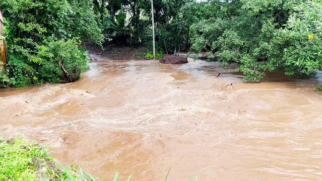 Static shot of the fast turbulent muddy river in the Caimito district, Panama