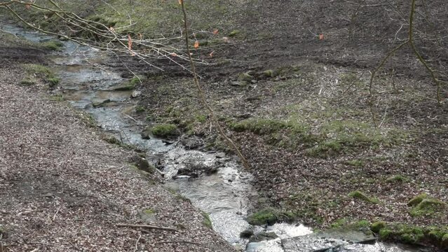 Idyllic river with flowing water stream at Brudergrund, Erbach in the middle of the woods with tree brunch in front, view from the distance