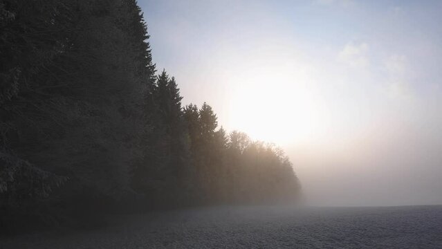 wintry sunrise with morning fog at the edge of the forest