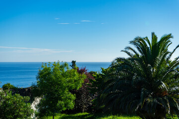 Fototapeta na wymiar The Spanish coast of the Atlantic Ocean. Palm trees, trees and the sea horizon